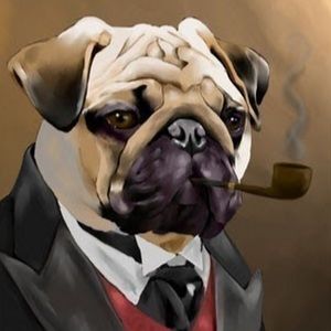 Meet your Posher, Evan